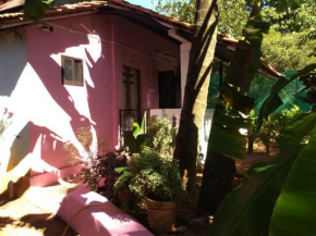 Agonda pink house